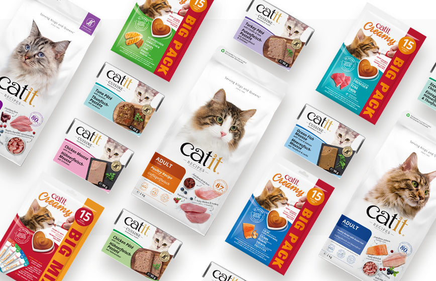 Comida y snacks de calidad para gatos