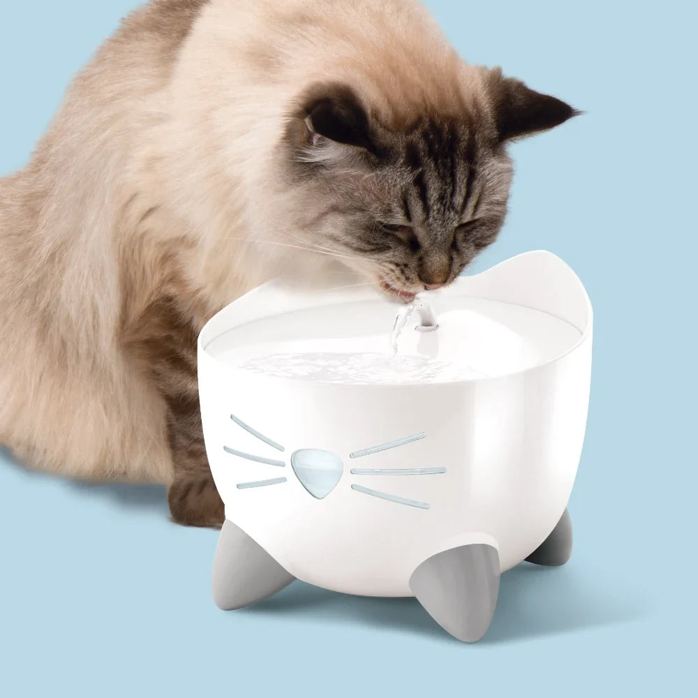 Fuentes para Gatos