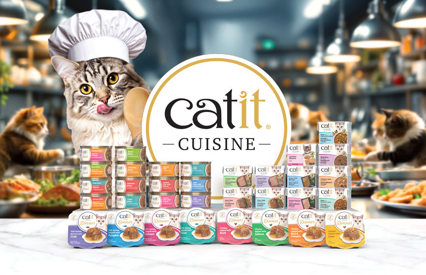 Comida húmeda Catit