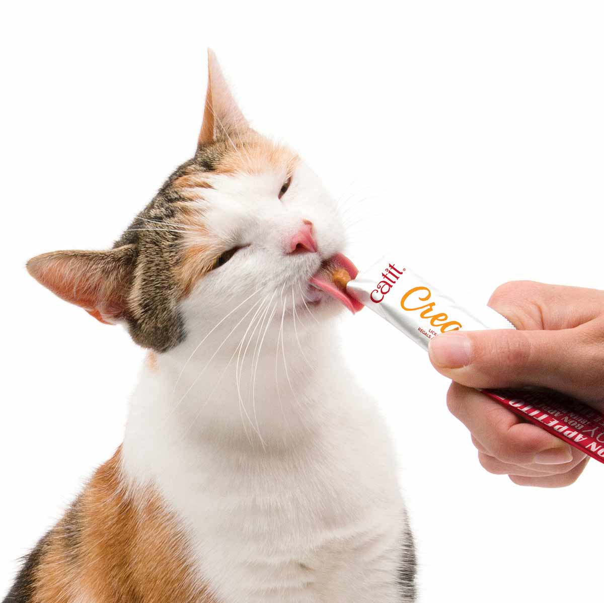 Snacks para Gatos