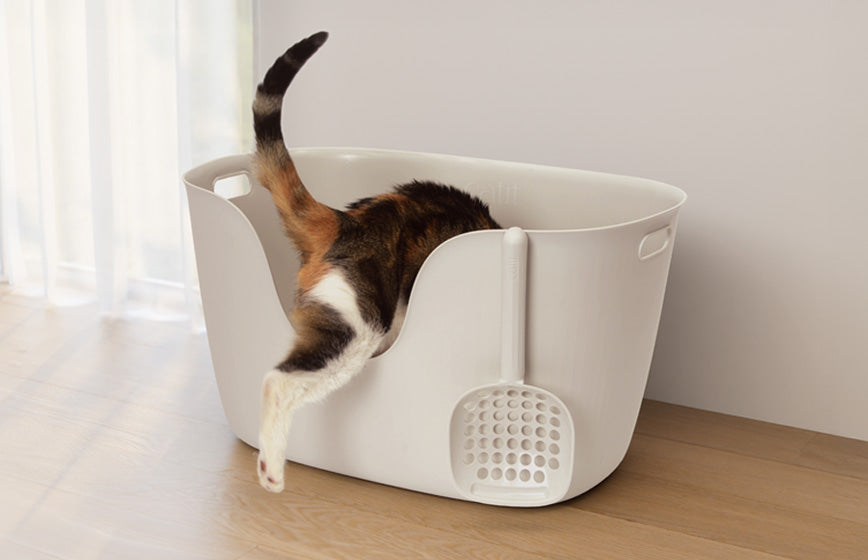 Areneros para Gatos y Accesorios