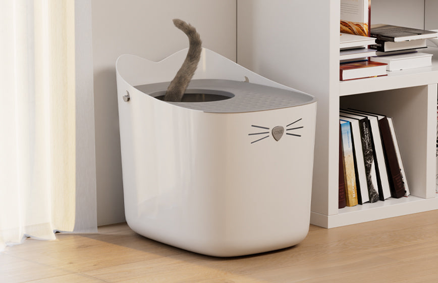 Areneros para Gatos