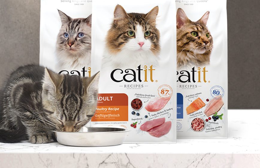 Pienso para gatos de alta calidad