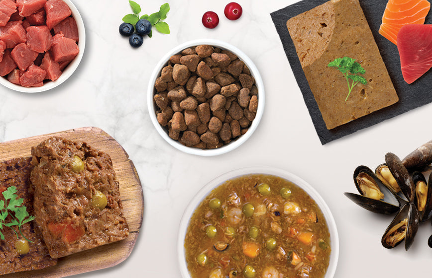 Comida para gatos de calidad