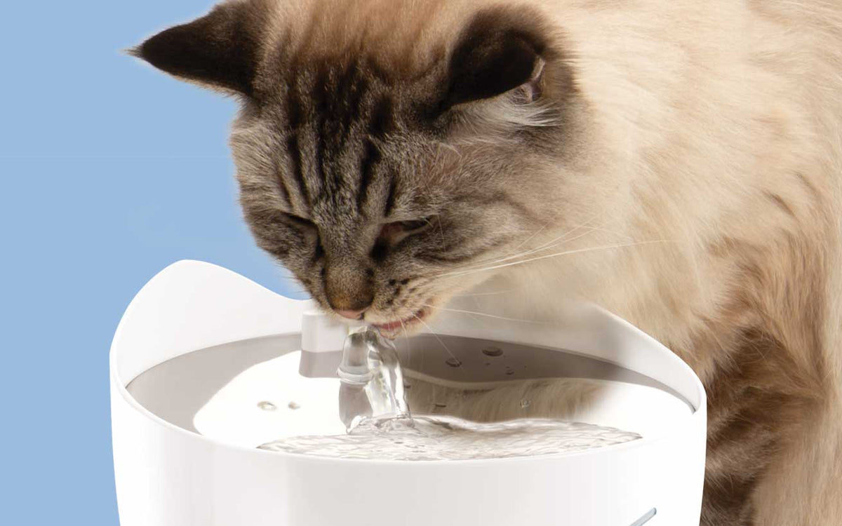 Filtración Catit