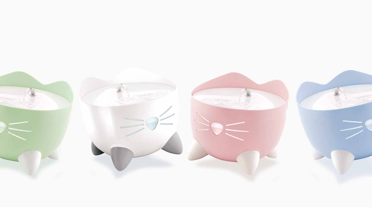 Fuentes para gatos