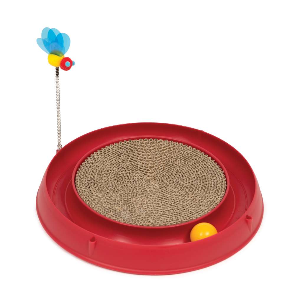 Circuito con pelota y base para rascar