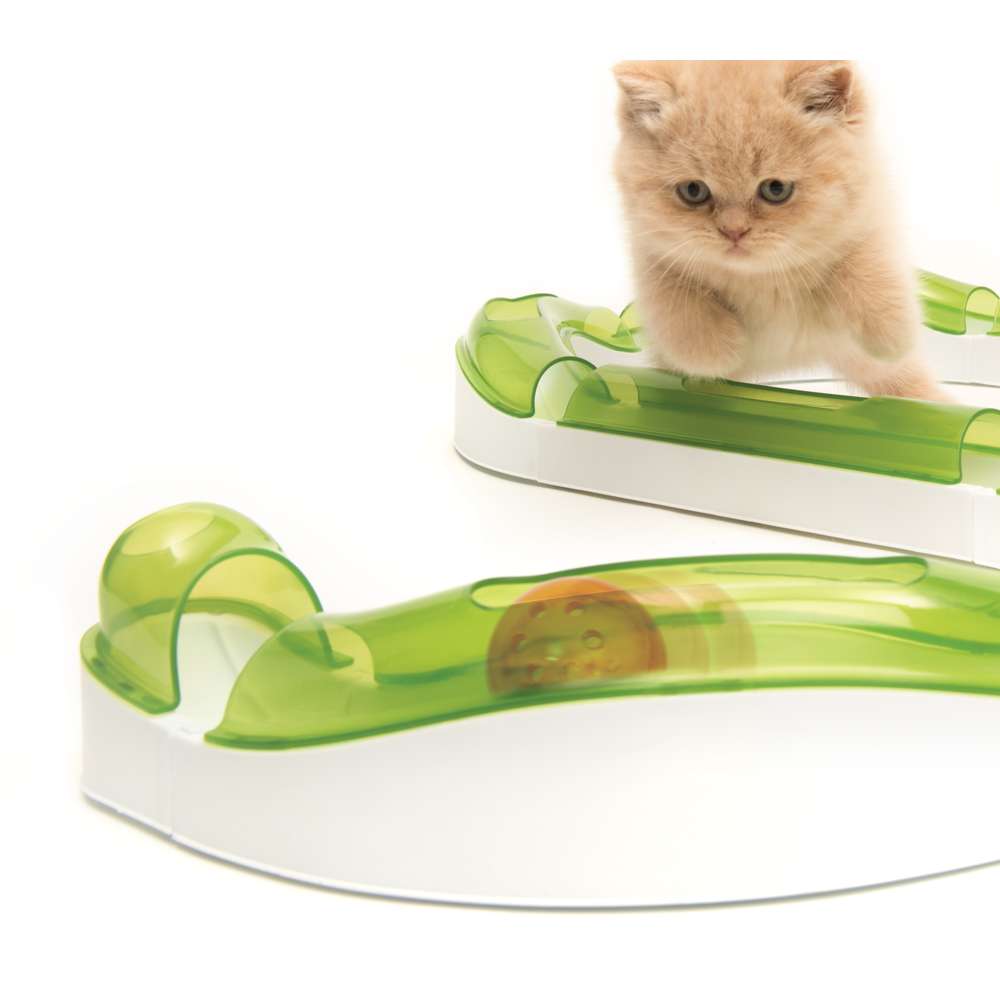 Gato jugando con Catit Senses Wave Circuit
