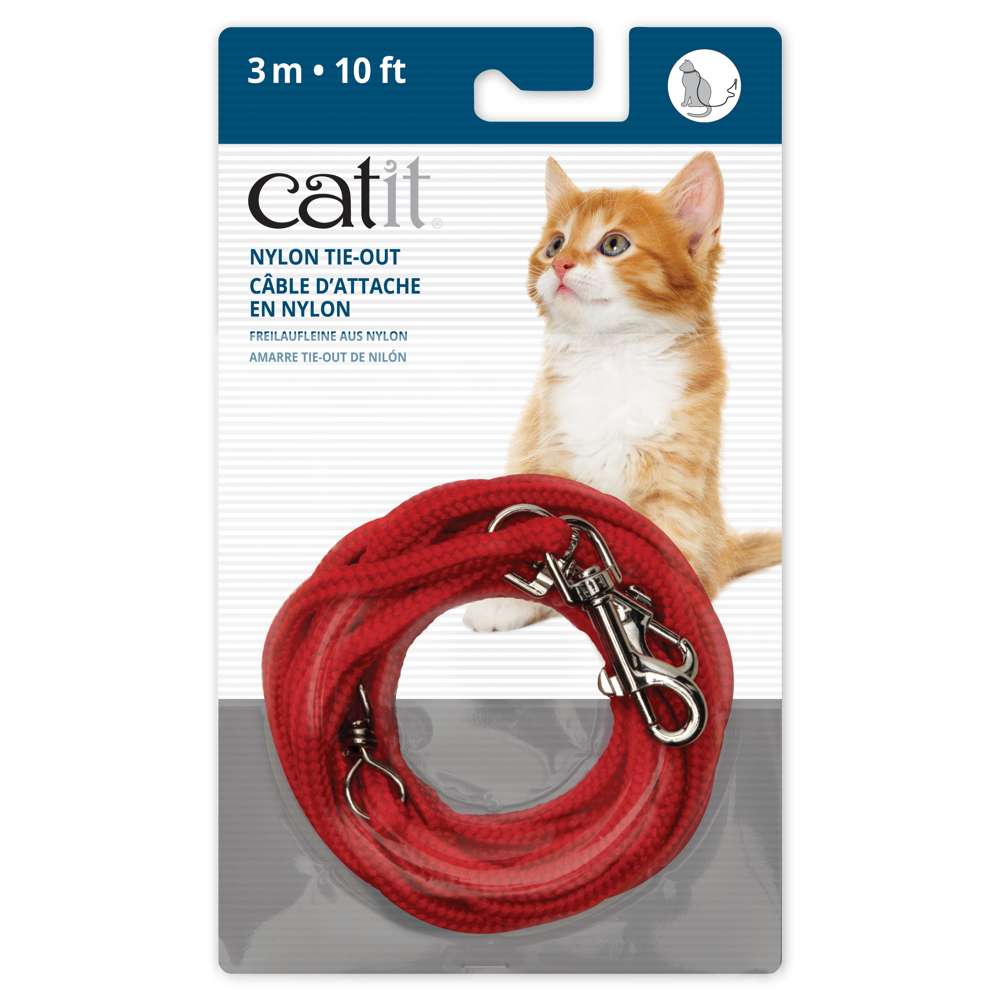 Catit Correa
